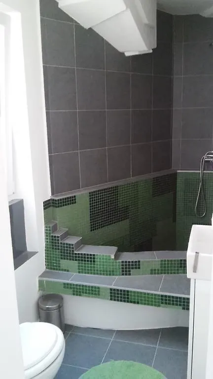 City Apartment Goga Pula 0*,